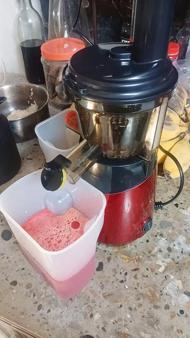 máy ép chậm mini chefio