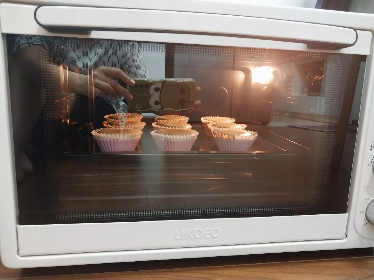 lò nướng bánh gia đình loại nào tốt