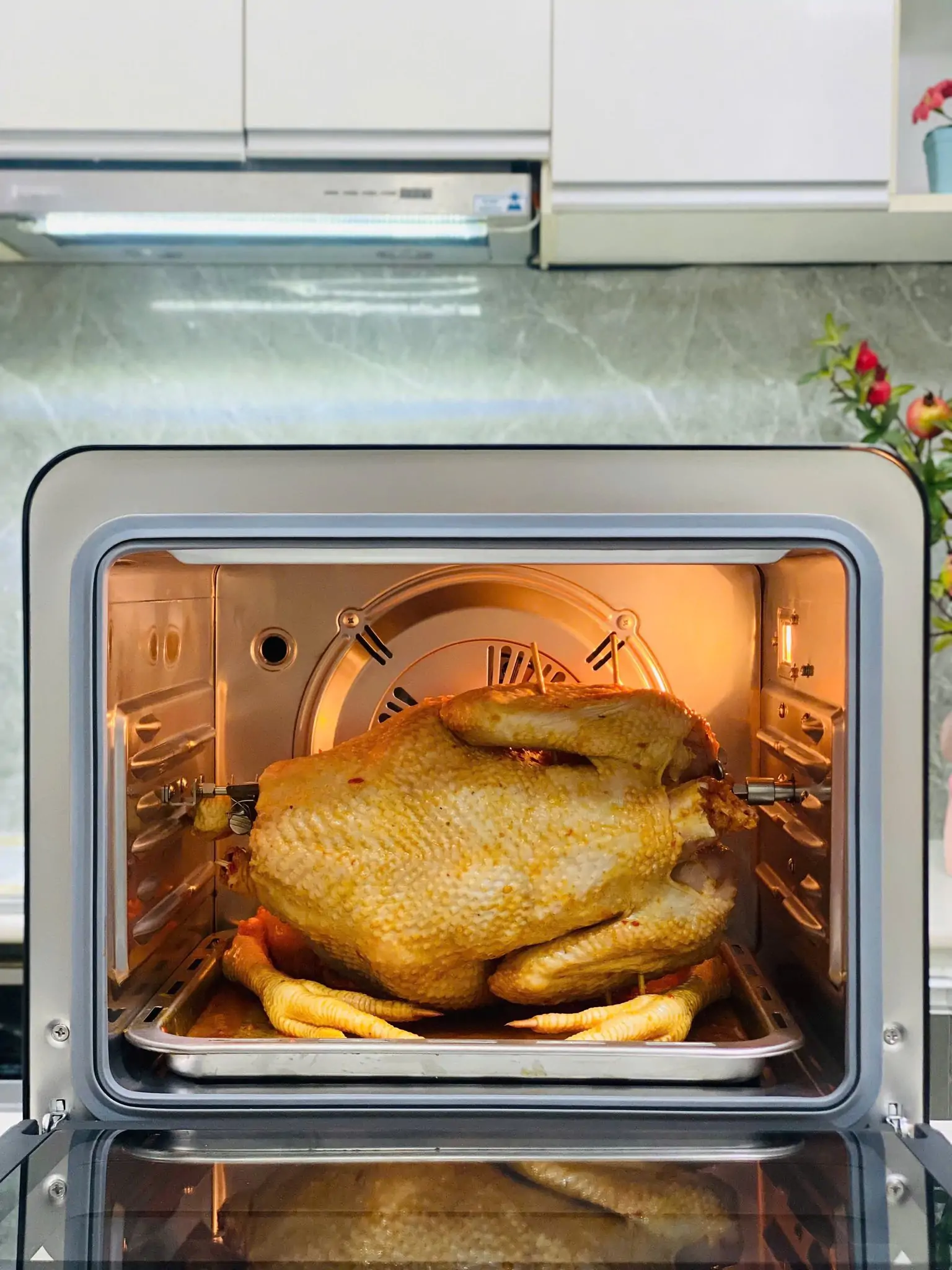 nồi chiên hơi nước kalite steam fusion pro nướng gà nồi chiên hơi nước kalite steam fusion pro nướng gà